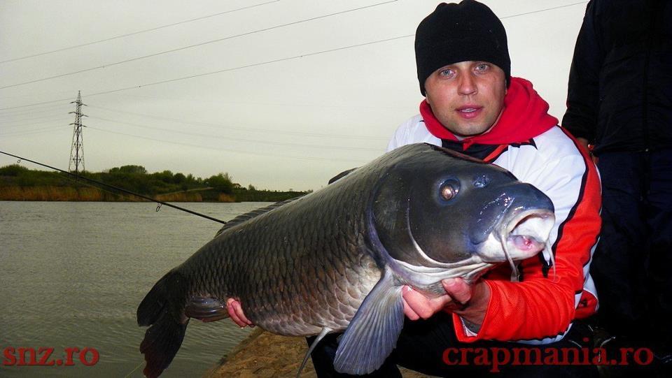 Partide 2010 - 2012 - Tancabesti 2012 - 